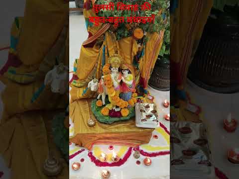 तुलसी विवाह की बधाई हो##gardeningbyrc