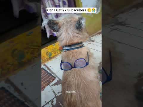 #please_subscribe_my_channel #love #viewskaisebadhaye #cute #pets #song