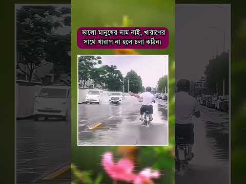 #song #love #coversong #music #hindisong #funny #arrahman #bollywood #newsong #dance