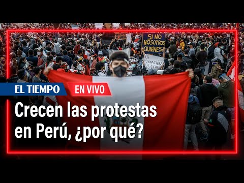 Miles de manifestantes protestan en Lima contra Dina Boluarte, ¿qué viene? | El Tiempo