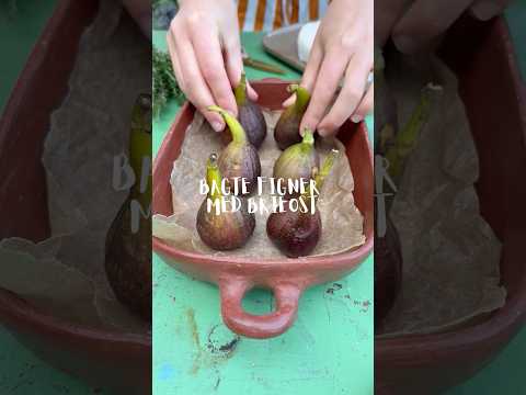 Bagte figner med brieost - nem og lækker snack, tapas eller dessert