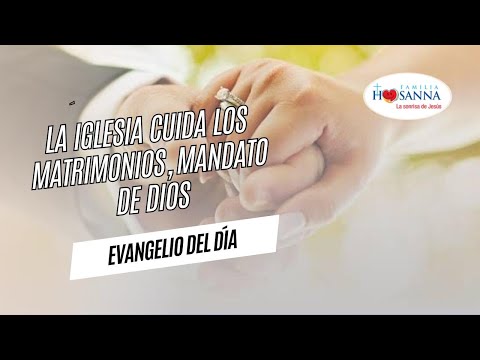 La iglesia cuida los matrimonios #Evangelio?DeHoy  Domingo 6 Octubre 2024 #PadreJohn #FamiliaHosanna