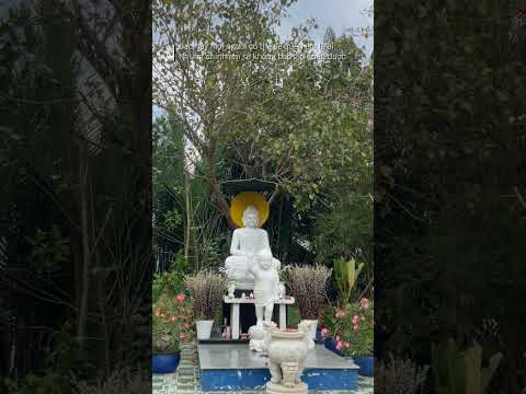 XIN GIỮ LÒNG LƯƠNG THIỆN TỪ BI HỶ XẢ