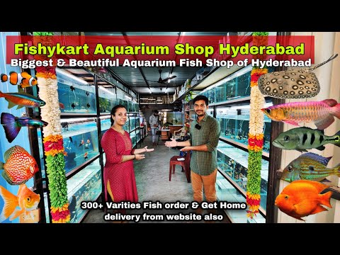 Fishykart Aquarium Shop | Biggest Aquarium shop of Hyderabad | 300 Varities Fish with Prices