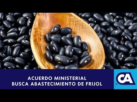 Autorizan importación de frijol negro ante incertidumbre en el suministro de ese grano