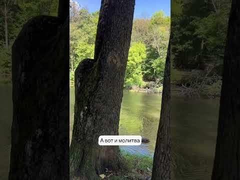 Собор преподобных отцов Киево-Печорских. #австрия #история #молитвы #церковныйкалендарь .