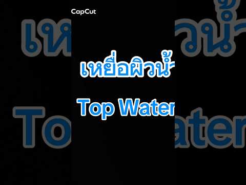 เหยื่อผิวน้ำtopwaterlurebuz