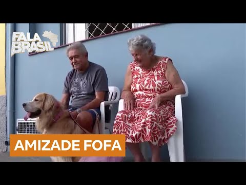 Cachorrinha faz amizade com casal de idosos e conquista corações na web