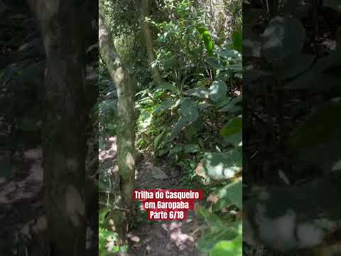 Trilha do Casqueiro em Garopaba Parte 6/18