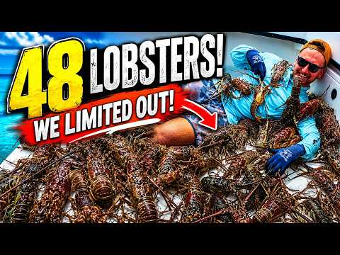We found lobsters everywhere!! Lobster catch, clean, and cook!! video thumbnail