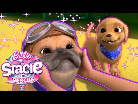 Hundewelpen BFFs! Rookie trifft Zeus!  | Film Clip | Barbie und Stacie–Eine Schwester für alle Fälle