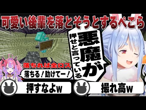 ヴィヴィの初めての道作りに落としたくなってしまう悪魔なぺこらとかなた | Minecraft【ホロライブ/兎田ぺこら/切り抜き/ヴィヴィ/かなた】 #兎田ぺこら