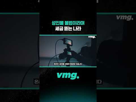 성인물 불법이라며 세금 뜯는 <strong>나라</strong> / 비디오머그 #shorts