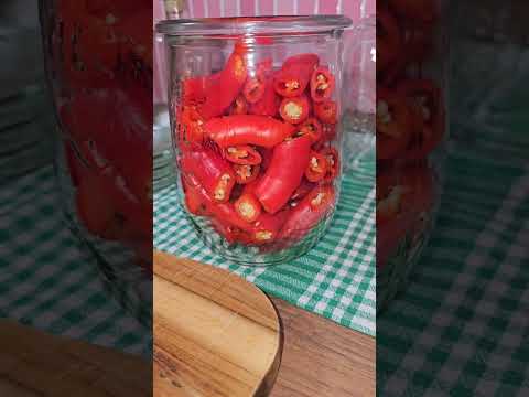 Chilis fermentieren statt einlegen – natürlich haltbar und voller Aroma