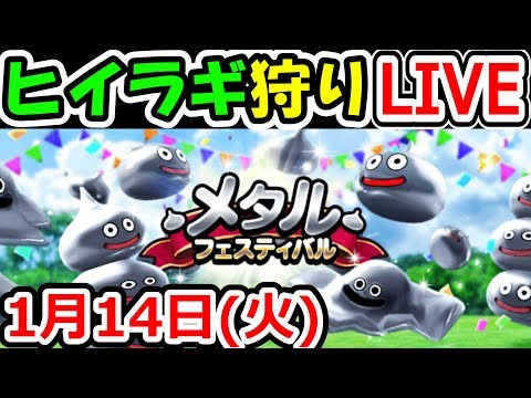 ドラクエウォーク 1/14（火）メタルフェスティバルやりながらヒイラギ狩り！