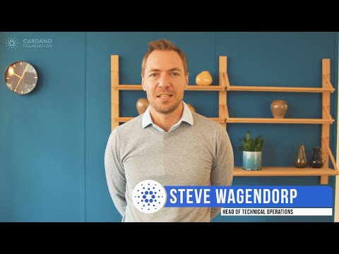 Meet the Cardano Foundation Team – Steven Wagendorp