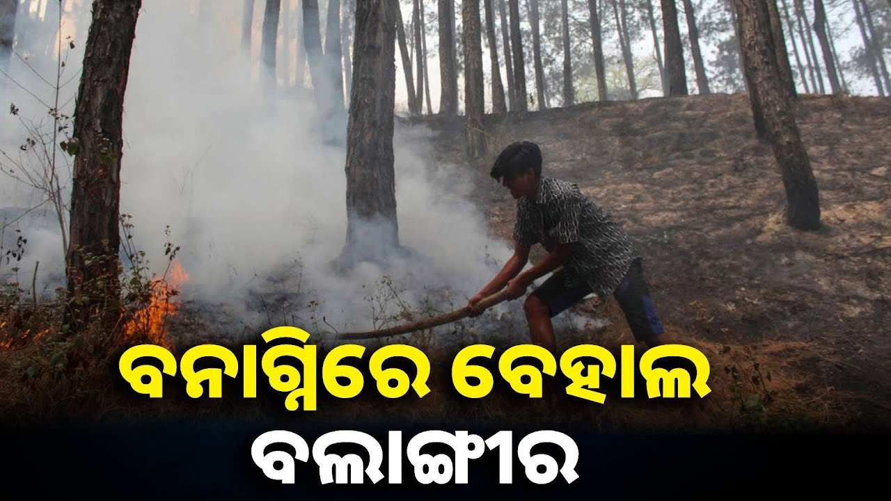 ତାତିକୁ ଆହୁରି ବଢ଼ାଉଛି ଜଙ୍ଗଲ ନିଆଁ, ଜାଳିଛି ୩୦୩ ସ୍ଥାନ || Knews odisha