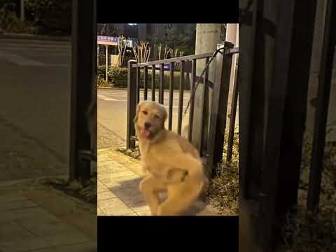 #memeclip #funnymemes #funny #dankememes #funnypictures #memehub #youtubeshorts #funnyvideo