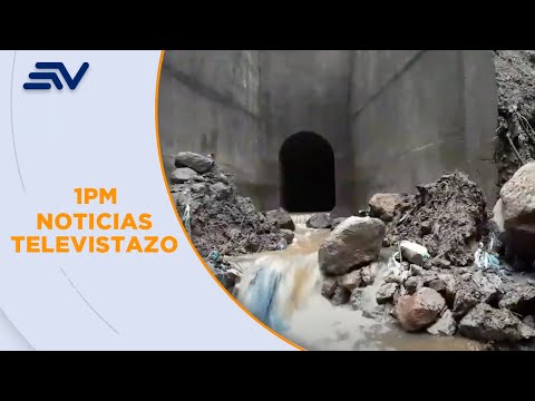 Las laderas acumulan agua y árboles gigantes fue fueron derribados en Quito | Televistazo | Ecuavisa
