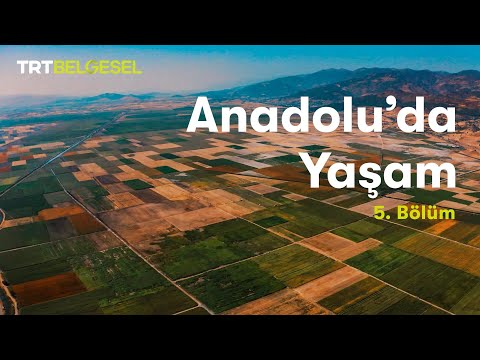 Anadolu'da Yaşam | Ova | TRT Belgesel