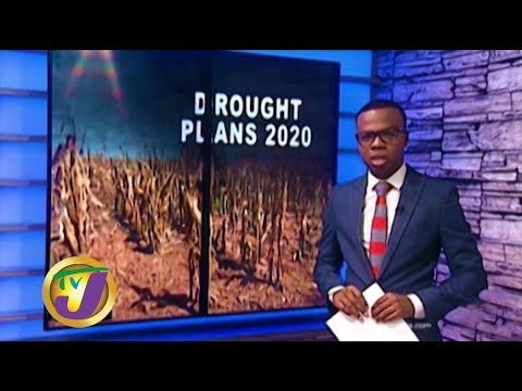 TVJ News: GOJ Working on Drought Plan - January 13 2020