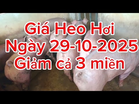 Giảm cả 3 miền