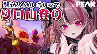 【 PEAK / 雑談 】雑談しながらソロ登山！エベレスト在住の遊部の山登りを見てってくれ【 遊部めあ / LiveDuo 】