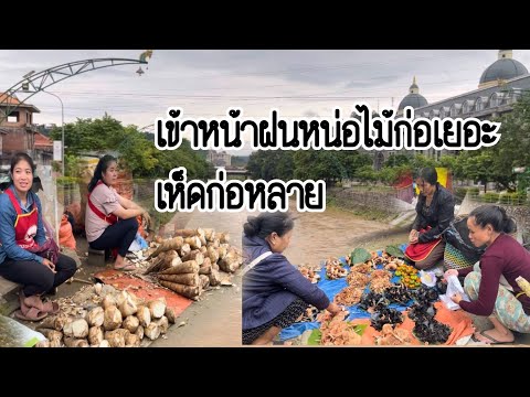 พาเลาะตลาดชำเหนือยามแลงช่วงนี้