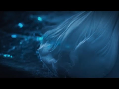 SAROS PS5 PRO “RHABOOM” BOSS FIGHT (3RD BOSS GIANT DEMON)