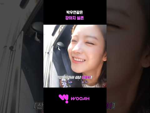 [우아! 우연] 박우연같은 강아지 실존