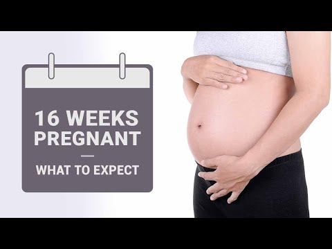 16 Weeks Pregnant - What to Expect