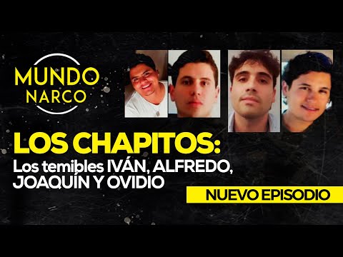 Los Chapitos: Los temibles Iván, Alfredo, Joaquín y Ovidio