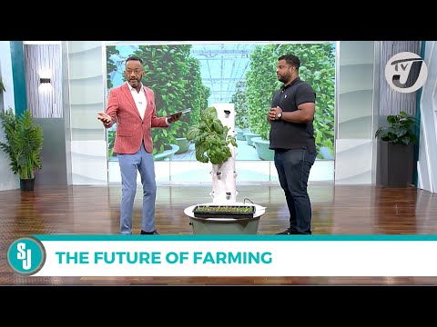 The Future of Farming with John-Mark Clayton | TVJ Smile Jamaica