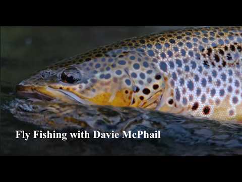 Fly Fishing below the Bonsai Tree with Davie McPhail
