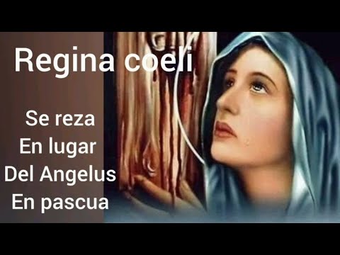 ? ORACIÓN DEL REGINA COELI O REINA DEL CIELO.  MARTES 14 DE MAYO 2024 ?