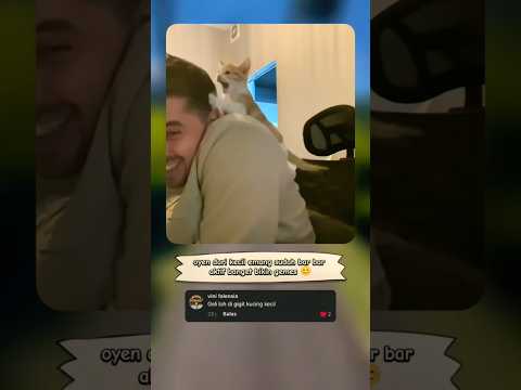 papihnya kewalahan menghadapi oyen kecil 😂