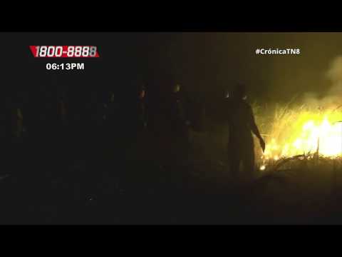 Dos incendios forestales logran ser controlados en Bluefields - Nicaragua