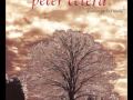 Peter Cetera - Perfect World