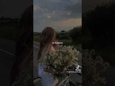 The Greatest #sia #audifonos #canciones #noterindas