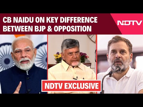 Chandrababu Naidu Interview | Chandrababu Naidu On Key Difference Between BJP, Opposition Leadership