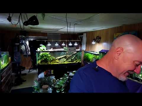 Friday Night Fish N Hits Join this channel to get access to perks_
https_//www.youtube.com/channel/UCBdxLXjOdp26Ke8NQRt7eBg/j