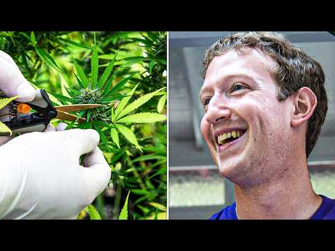 DEA Claims Marijuana As Deadly As Heroin & Zuckerberg Was Driving Force Behind TikTok Ban
