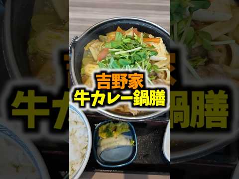 【期間限定】吉野家の牛カレー鍋膳 #吉野家 #カレー #鍋