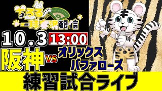 【 阪神 練習試合 LIVE 】 10/3 阪神タイガース 対 オリックスバファローズ 練習試合をみんなで一緒に観戦ライブ #全試合無料ライ