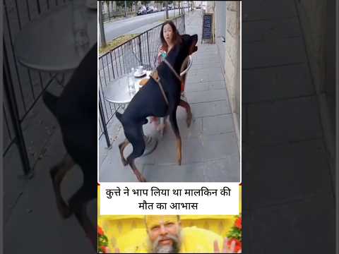 कुत्ते ने महसूस की मालकिन की आखिरी सांस!