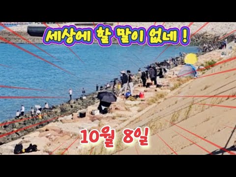 황금연휴 조사님들 왜 시화방조제로 몰렸는지 낚시할 틈이 없는대 이유가 뭘까요?  