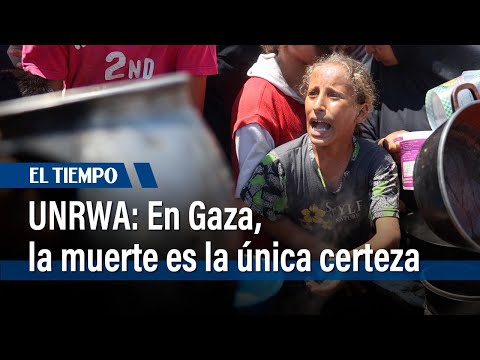 Para los habitantes de Gaza “la única certeza” es la muerte, según la UNRWA| El Tiempo