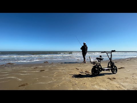 Caroma P1 | This is a super quick fishing experience  🎣🛴