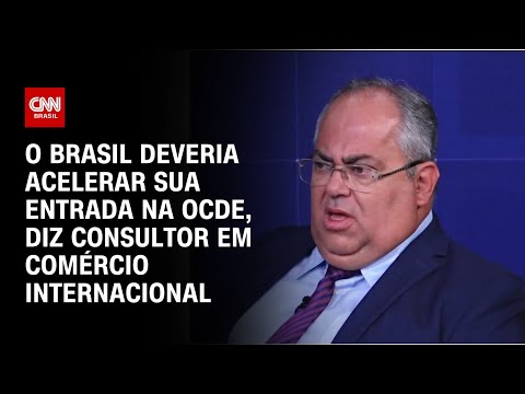 O Brasil deveria acelerar sua entrada na OCDE, diz consultor em comércio internacional | WW Especial