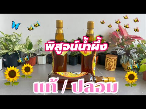 6-วิธีตรวจสอบน้ำผึ้งแท้,-พิสูจ 6-วิธีตรวจสอบน้ำผึ้งแท้,-พิสูจ